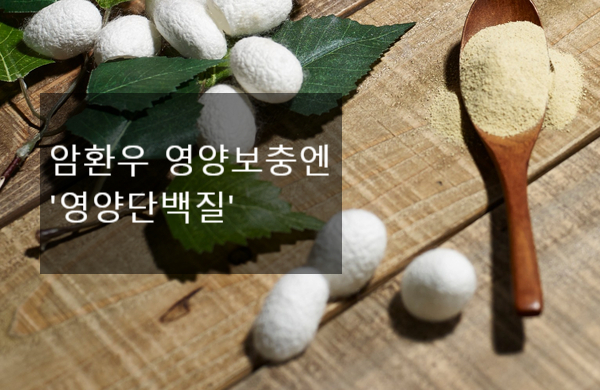 단백질의 중요성과 빠른 면역력 회복 필요! [AHCC 박사] 위암에 좋은 음식, 7