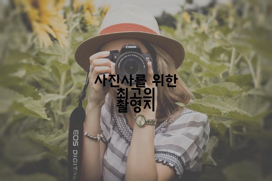 사진사를 위한 최고의 촬영지
