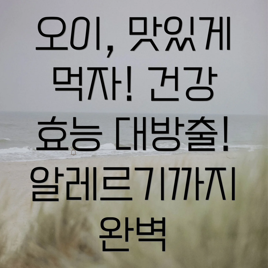 오이 효능