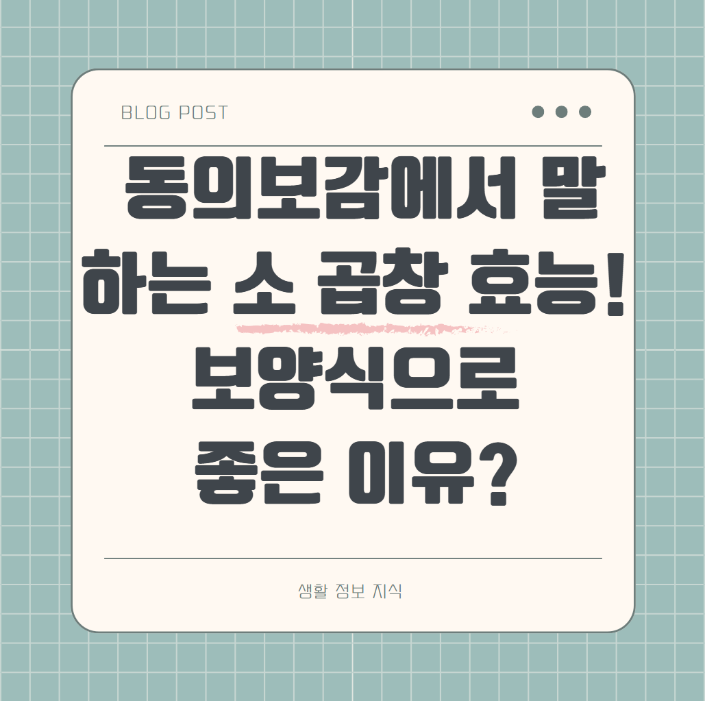 동의보감에서 말 하는 소 곱창 효능! 보양식으로 좋은 이유 알아보기