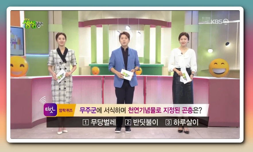 생생정보 퀴즈 티벗 2TV 깜짝 퀴즈 문제
