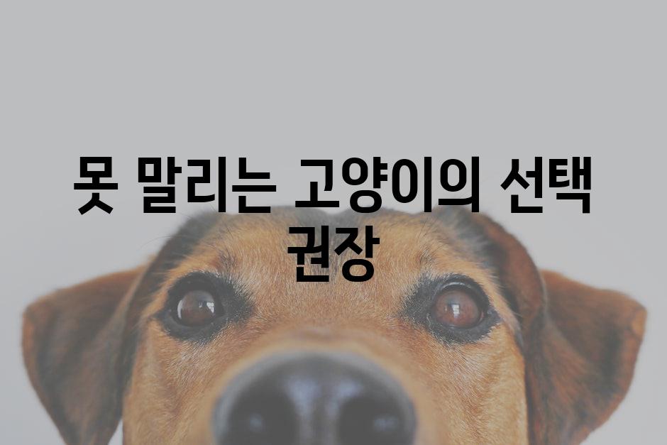 못 말리는 고양이의 선택 권장