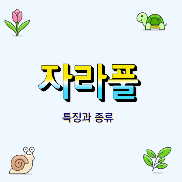  자라풀 물속의 식물로 물의 순환과 정화 식용과 약용에 유용한 식물