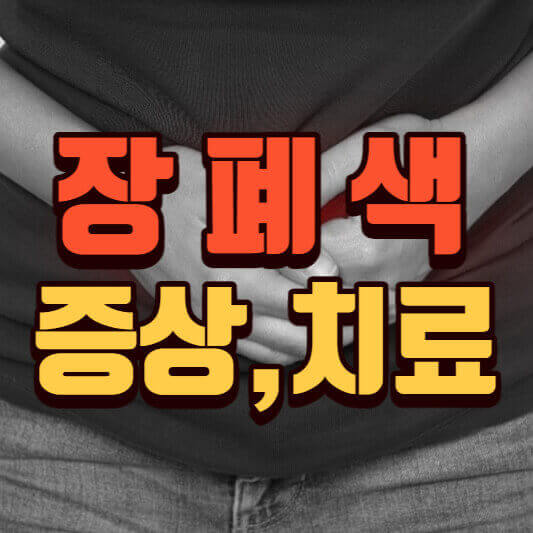  장폐색(장꼬임) 증상,치료 및 원인 정리