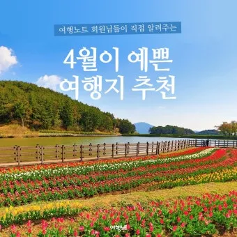 비행기 없이 떠나는 국내 숨은 여행지 발견하는 특별한 방법_4