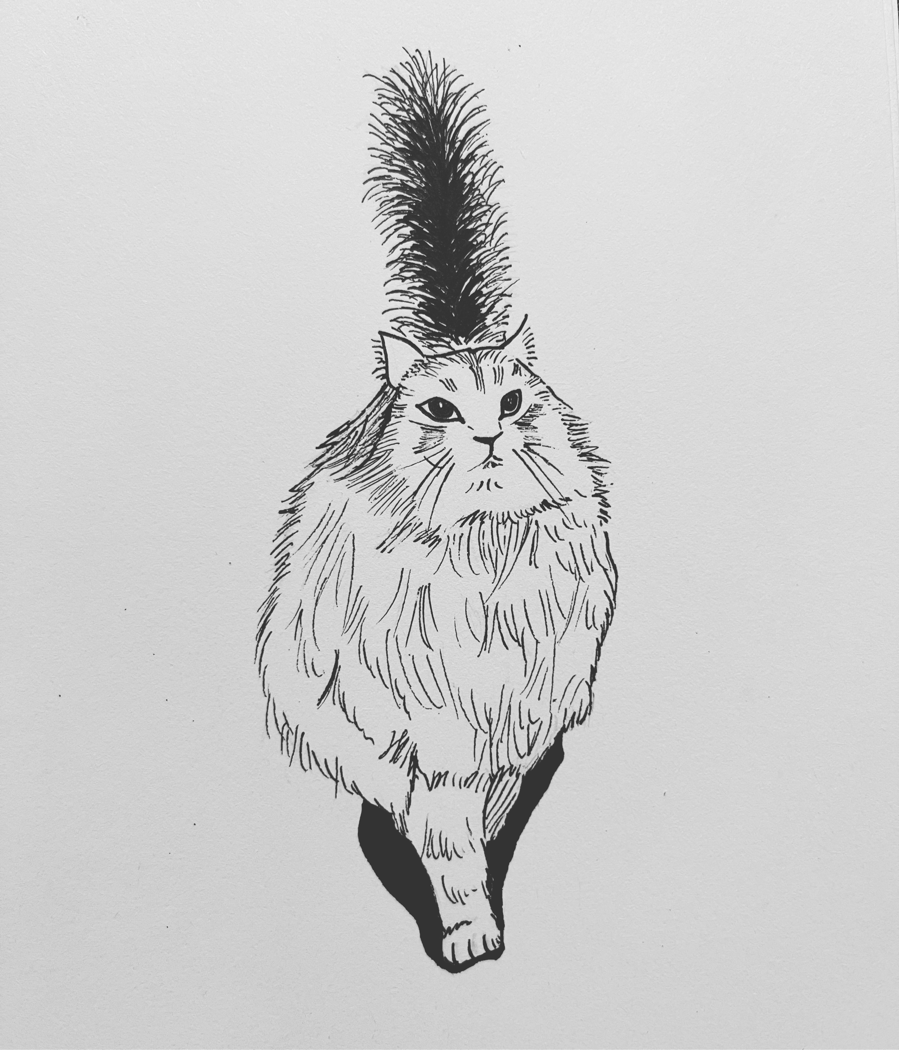  [취미생활 : 그림] 도도냥 (고양이 그림 : 펜그림)