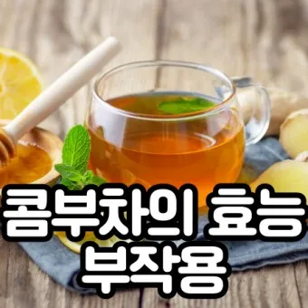 콤부차 효능_6