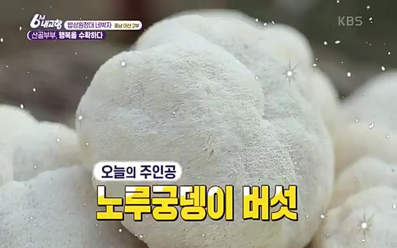 [7612회] 6시 내고향 - KBS7612회] 6시 내고향.ts_20220912_172659.555.jpg