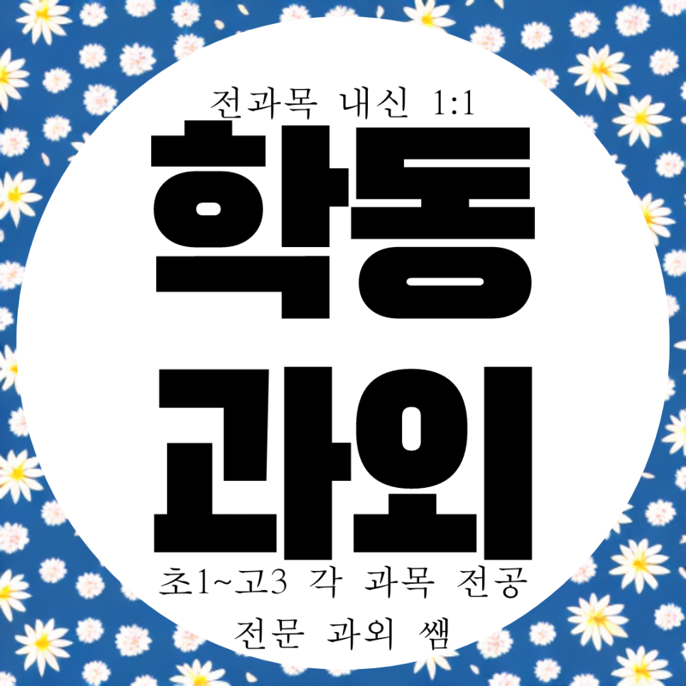  여수 시전동 고등 영어과외 중등 학동 초등 수학과외 국어 마스터하자