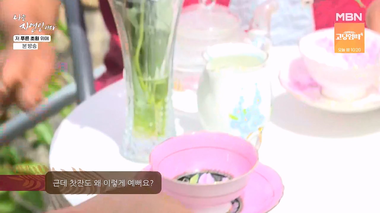 나는 자연인이다.E607.240530p-NEXT.mp4_20240530_200520.723.jpg