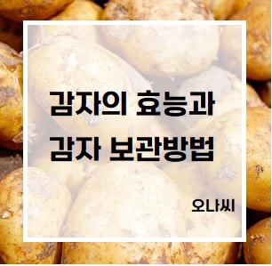 감자의효능-감자보관방법