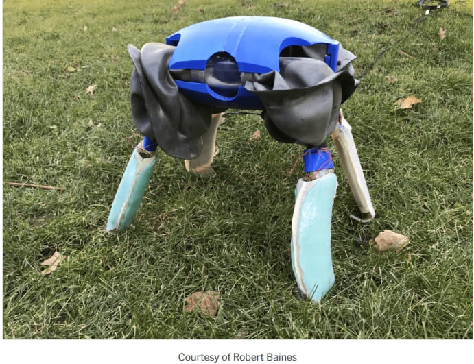 예일대 &#44; 변신 가능한 수륙양용 거북 로봇 개발 VIDEO:Yale-led team develops shape-shifting turtle robot