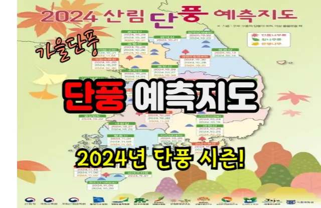 가을 단풍, 단풍 예측지도로 알아보는 2024년 단풍 시즌!