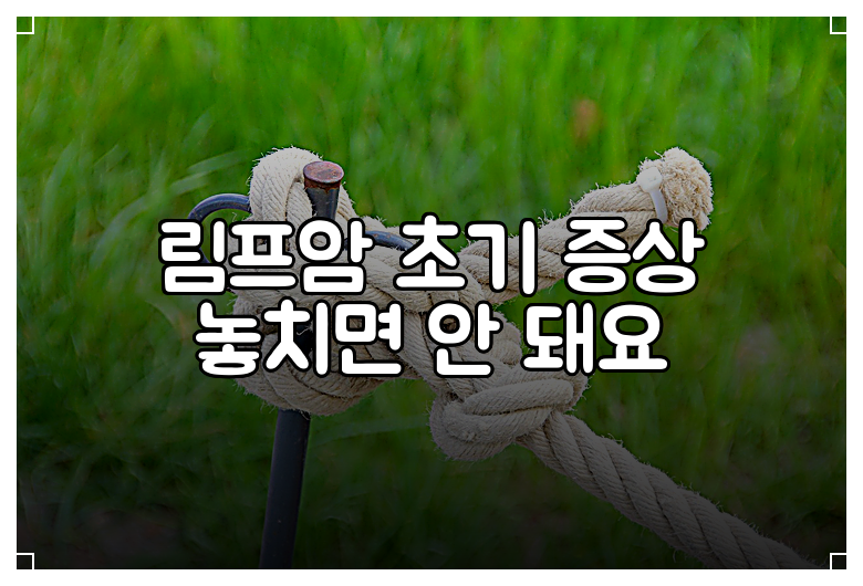 림프암 초기 증상 놓치면 안 돼요