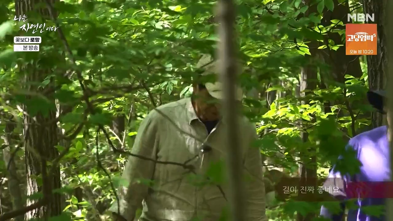 나는 자연인이다.E608.240606p-NEXT.mp4_20240606_164043.499.jpg