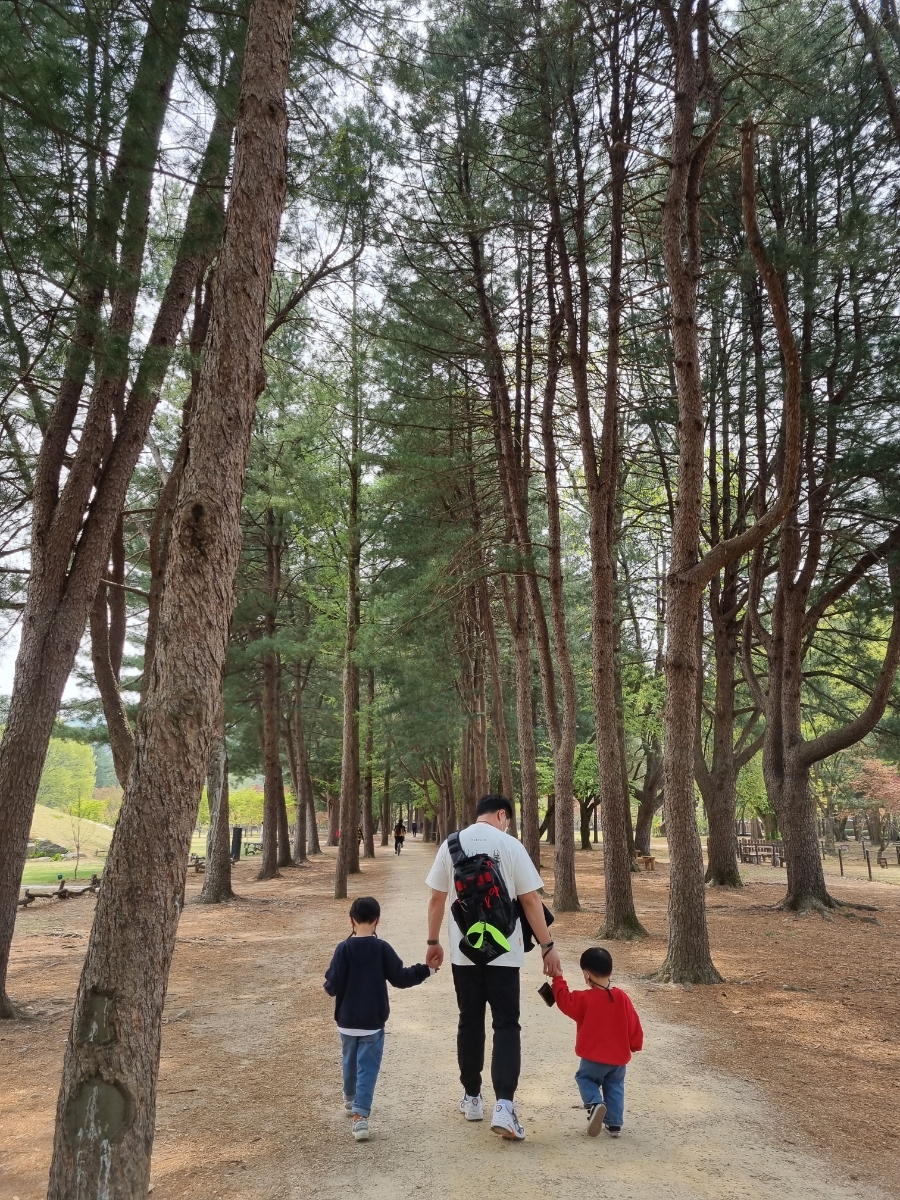 남이섬 배시간표 남이섬 배시간표, 할인 방법, 77