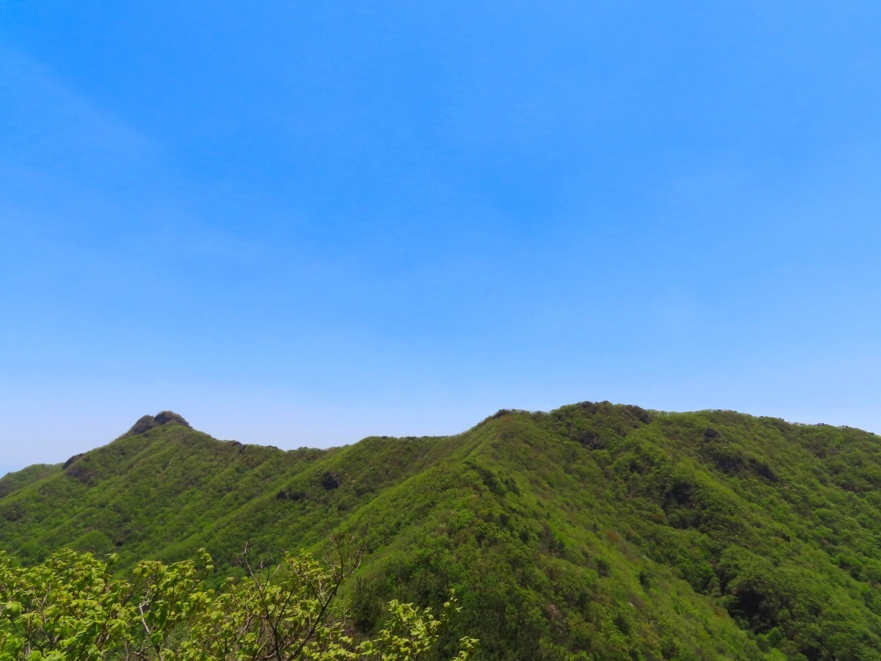 블랙야크 100+, Y출렁다리, 31