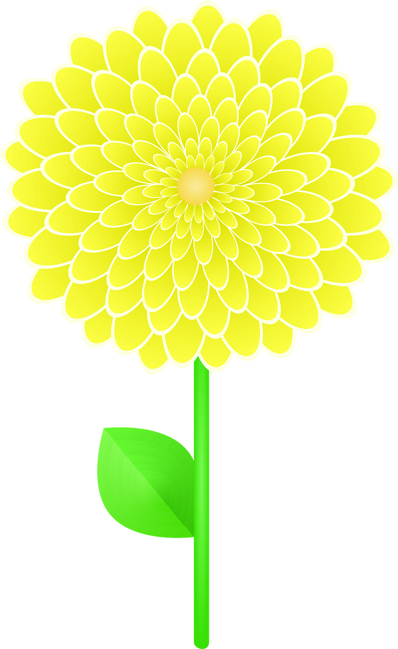 서천 동백꽃 주꾸미축제