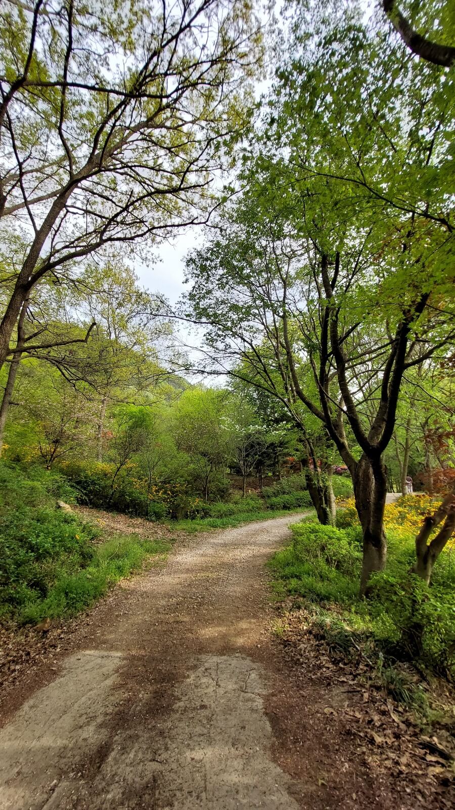 화산 꽃동산 숲길