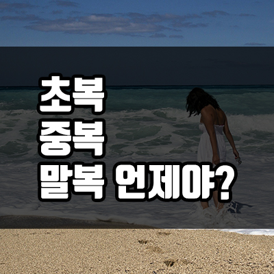  2020년 초복, 중복, 말복 언제?