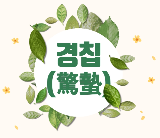 경칩