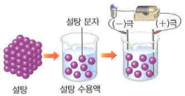 비전해질