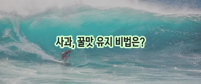 사과 보관 어떻게 해야 할까요?