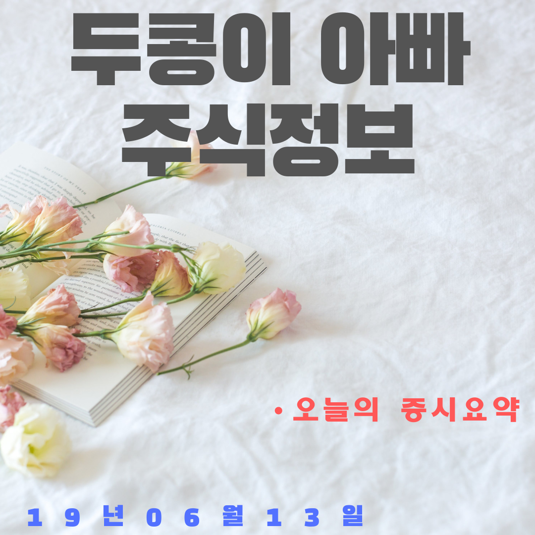  19년06월 13일 증시요약