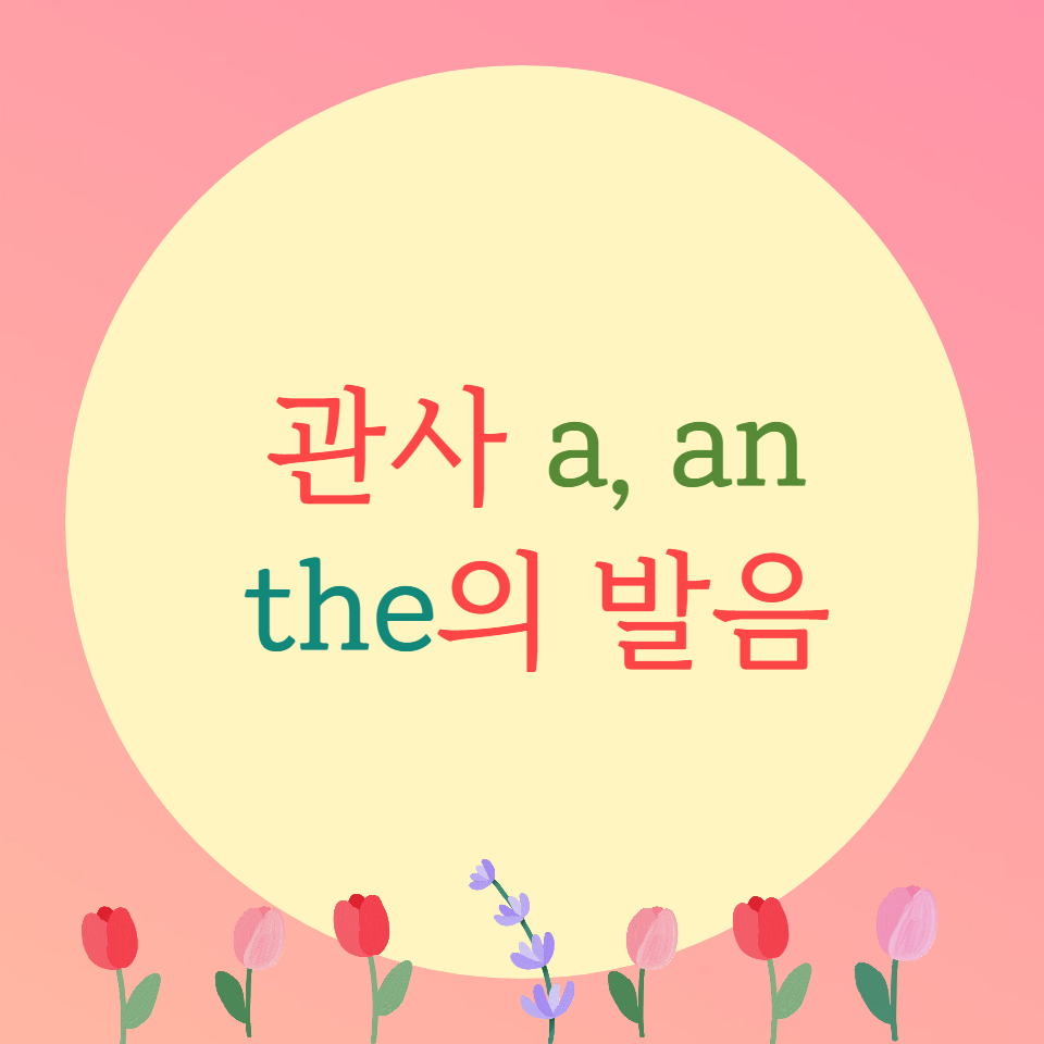  [블로그] a, an의 발음과 the의 발음