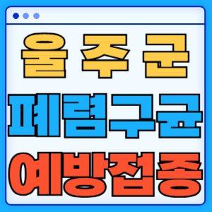 울산 울주군 폐렴구균 백신 무료 예방접종 비용지원 가격 신청방법 대상자 간격 13가 15가 20가 23가
