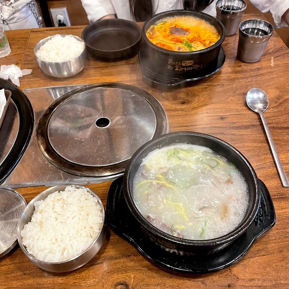 마크로스터스 이미지