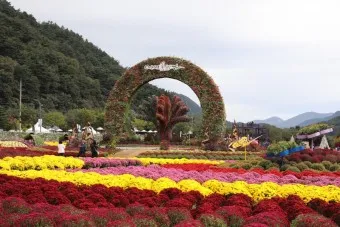 인제 가볼만한곳 베스트10 현지인 추천 필수코스_16