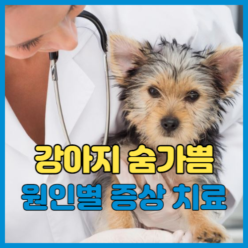 강아지 숨가쁨