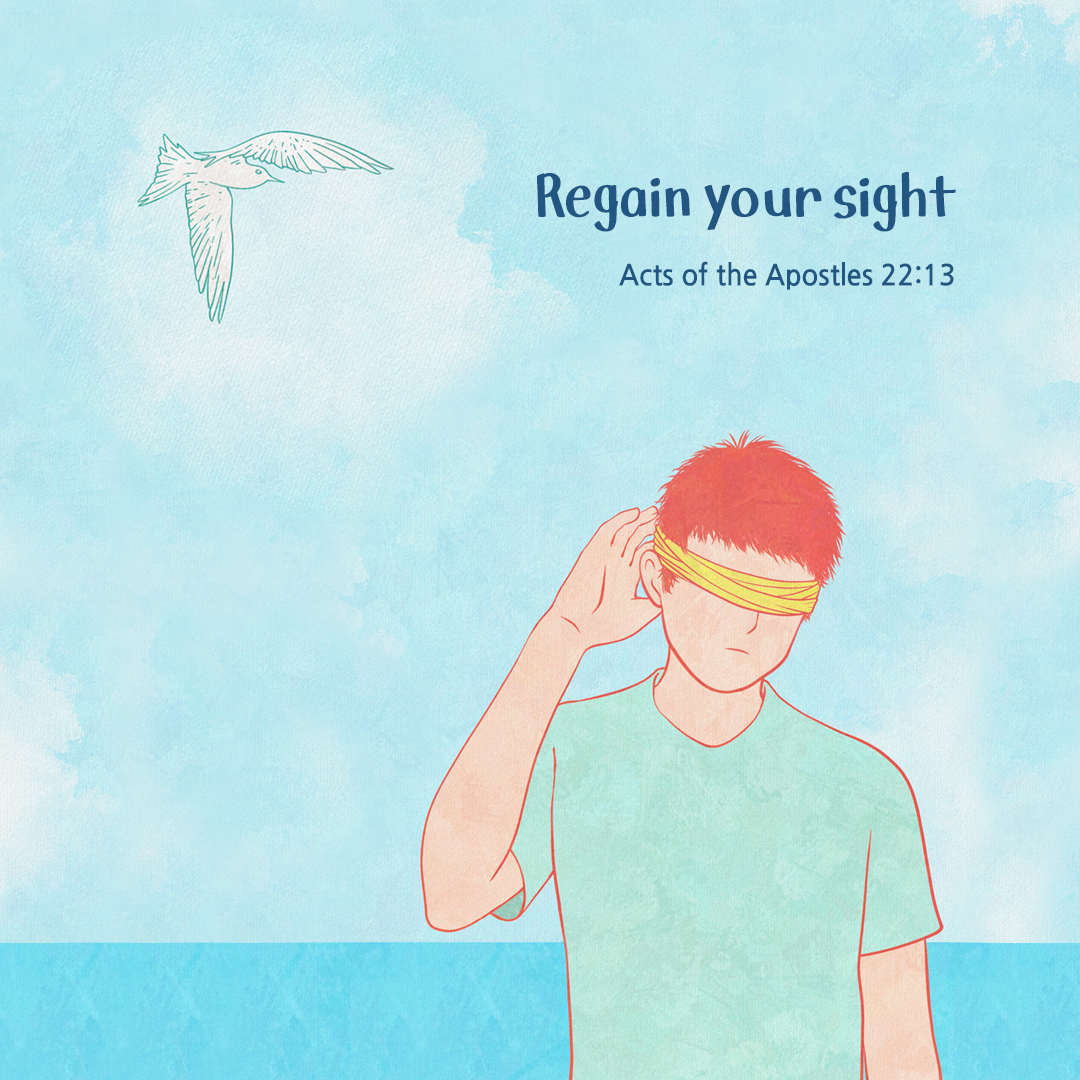 Regain your sight. (Acts of the Apostles 22:13)
