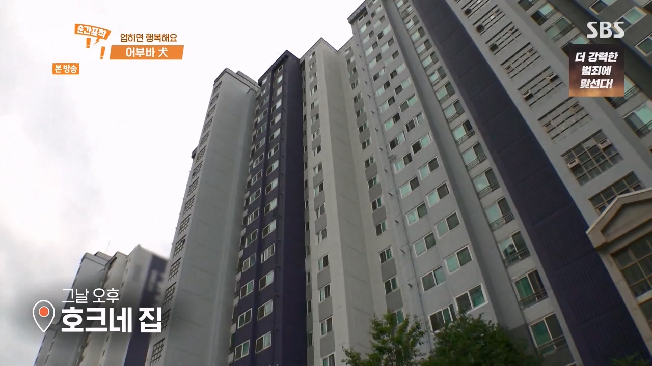 순간포착 세상에 이런일이.E1238.230723p-NEXT.mp4_20230724_205440.447.jpg