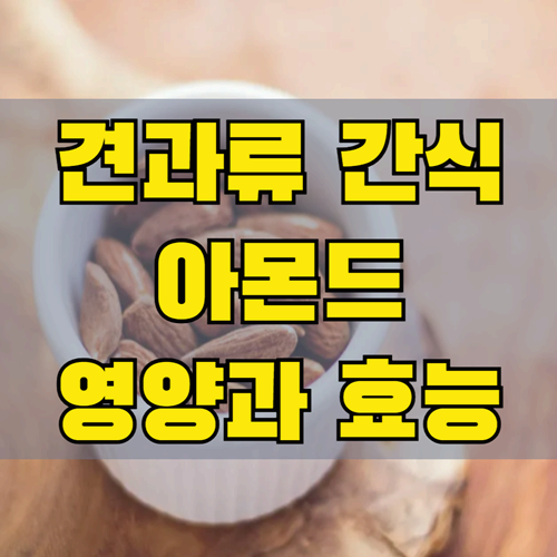 건강한 견과류 간식 아몬드