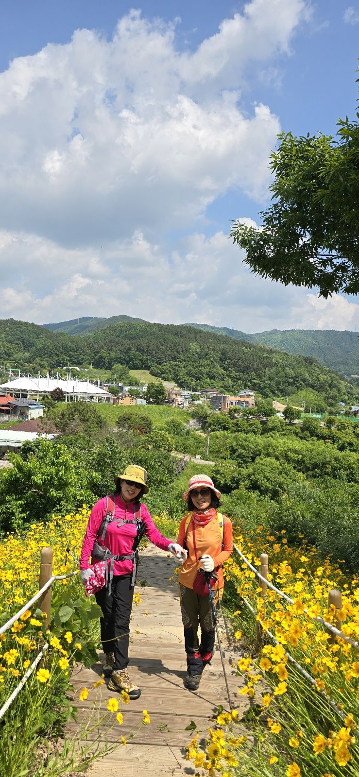 고원 이미지