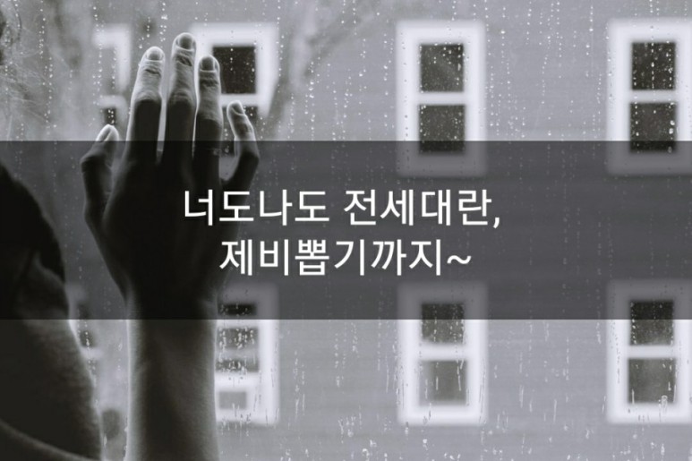 전세대란 제비뽑기까지... 너도나도 1
