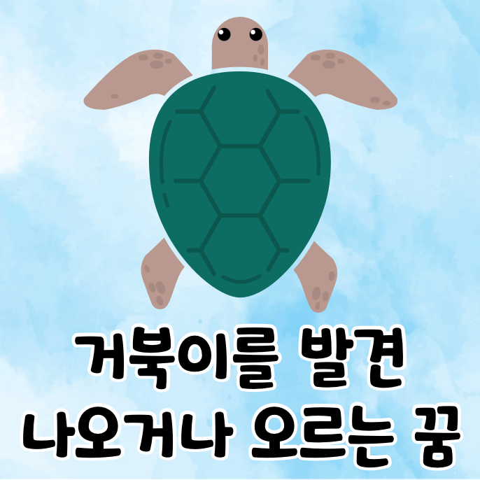 거북이