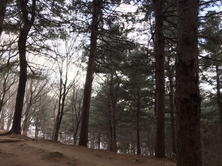 광덕산 자연인 겨울 산 6