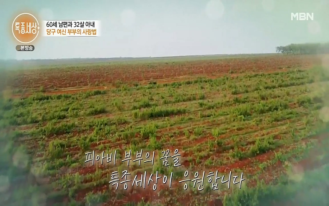 현장르포 특종세상.E528.220429p-NEXT.mp4_20220429_192034.669.jpg