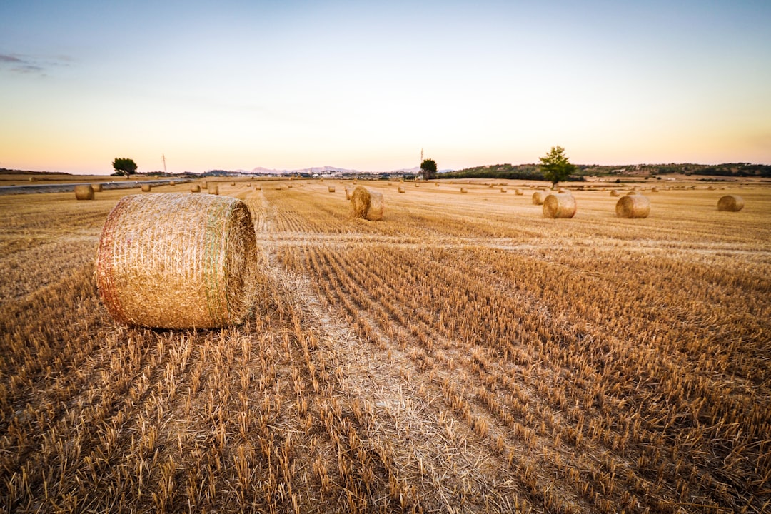 Harvesting