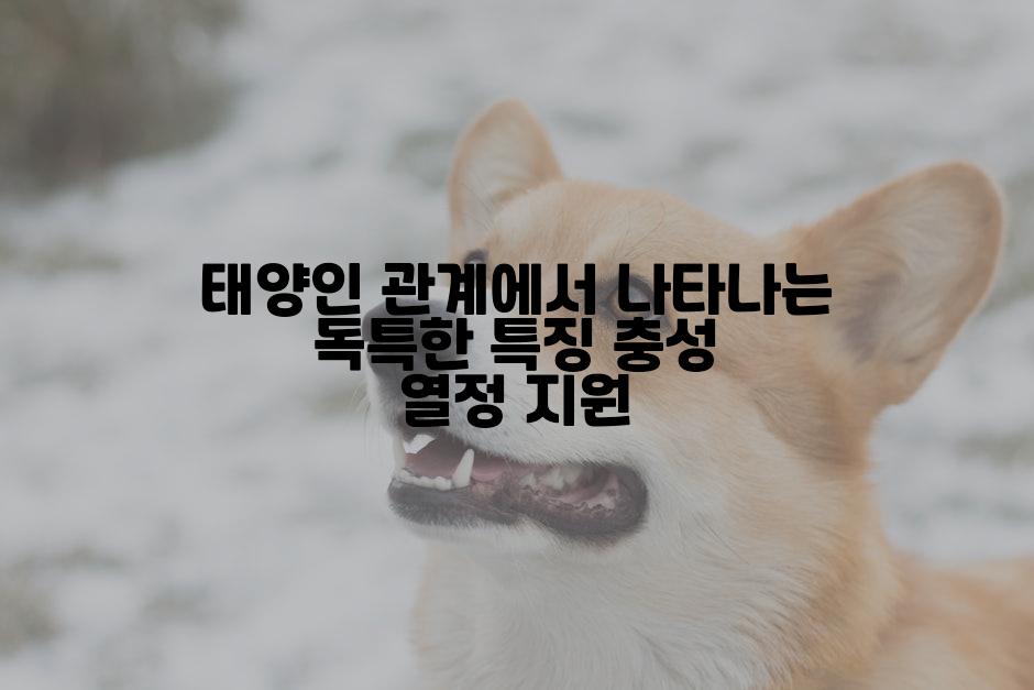 태양인 관계에서 나타나는 독특한 특징 충성 열정 지원