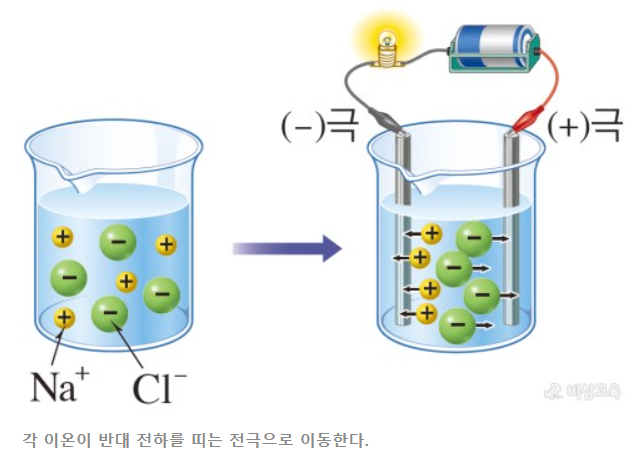 전해질