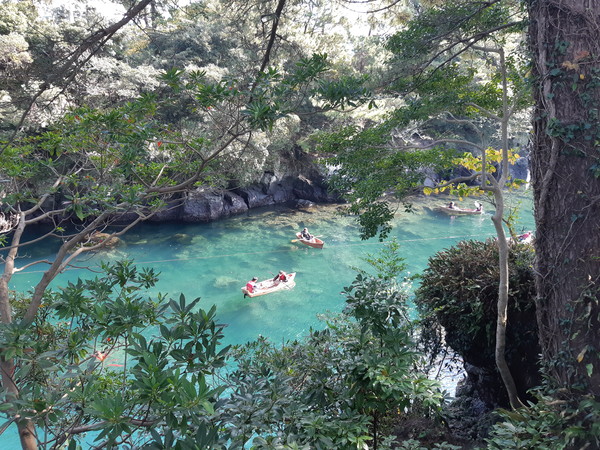 제주도 관광