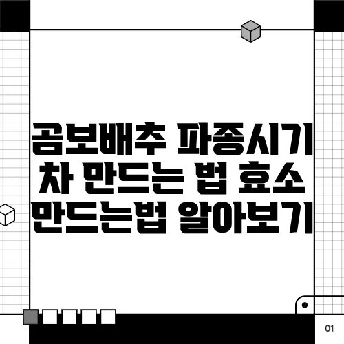 곰보배추 파종시기 차 만드는 법 효소 만드는법 알아보기