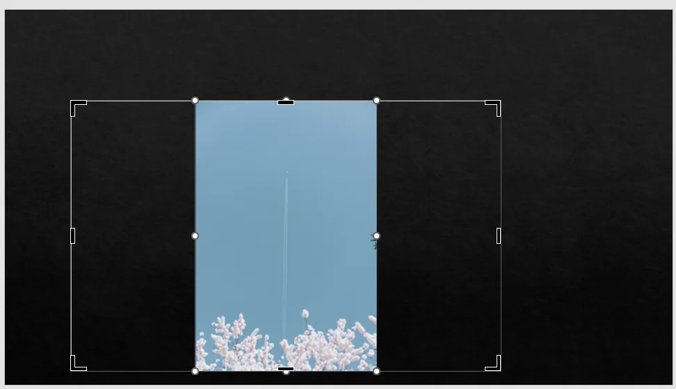 ppt에서 사진을 자르고 맞춤 설정을 한 후의 모습