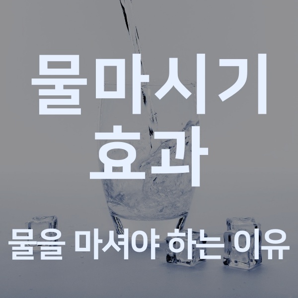  물마시기 효과(물의 효능)