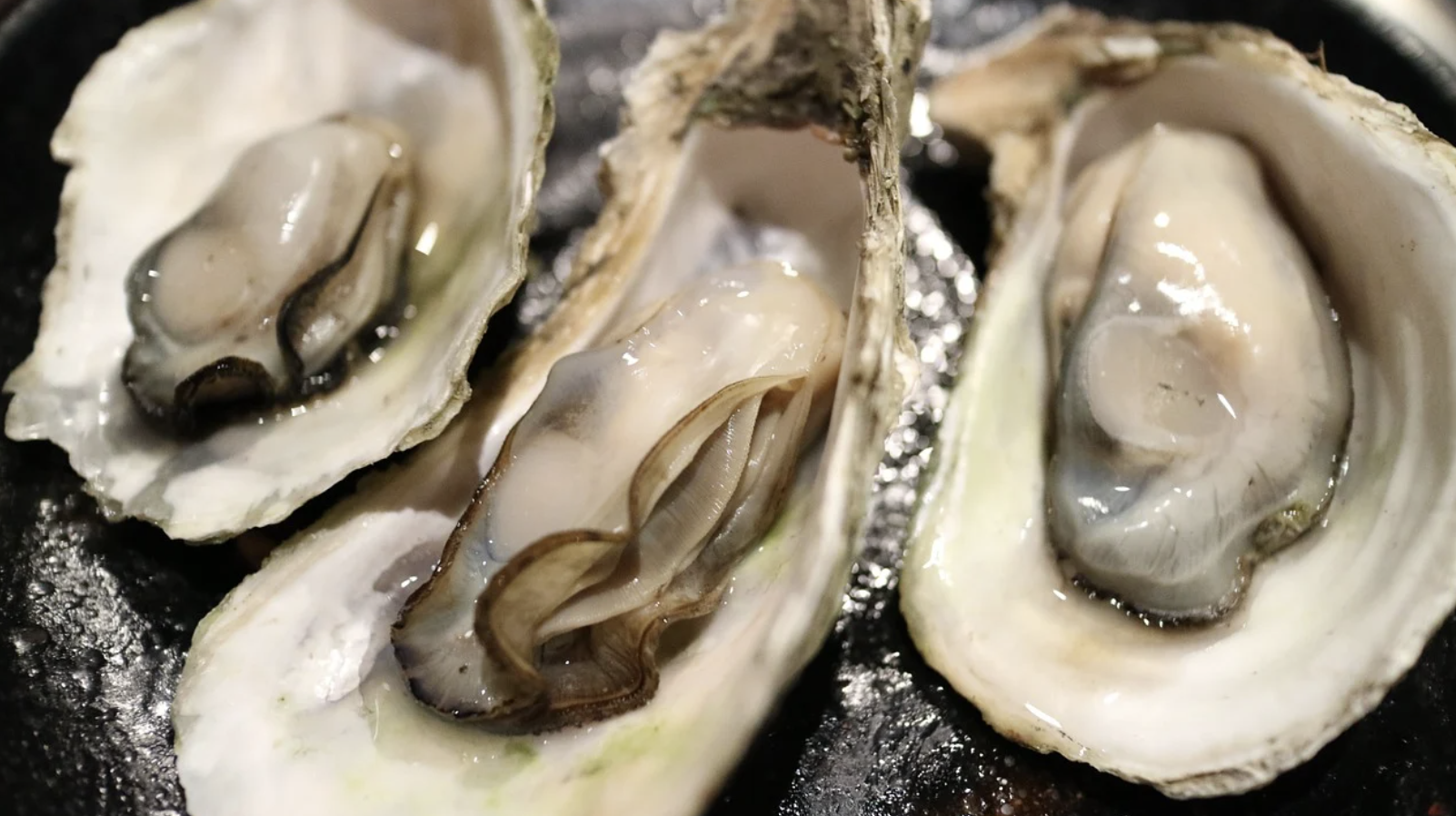  바다의 우유 굴! 제철, 생산지역별 특징, 효능, 보관 방법 등 알아보기