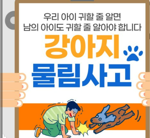  과태료부터 개물림 합의금까지 반려동물 법률 상식